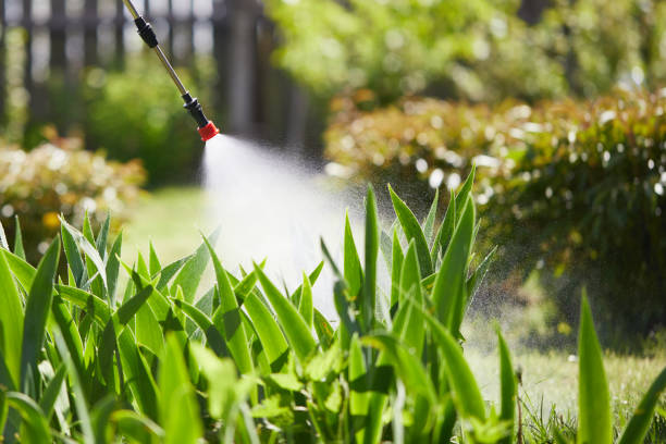 Tamper-Resistant Bait Stations for Rodents in Emmaus