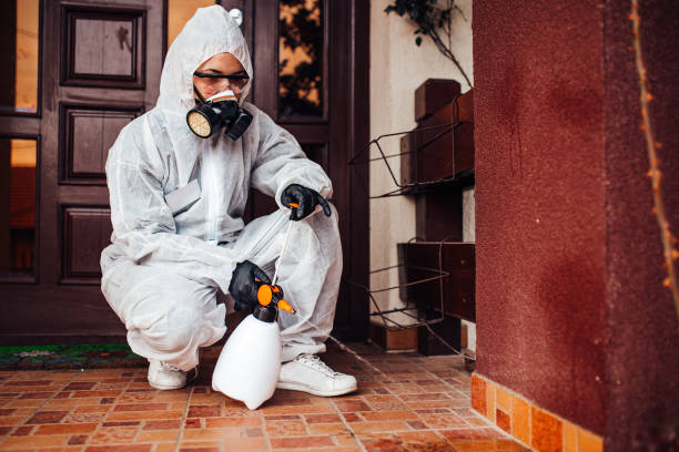 Attic and Crawl Space Rodent Treatment in Emmaus