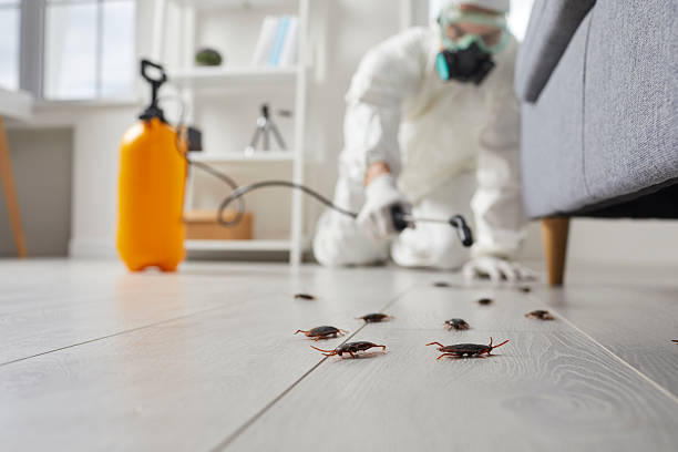 Commercial Rodent Management in Emmaus